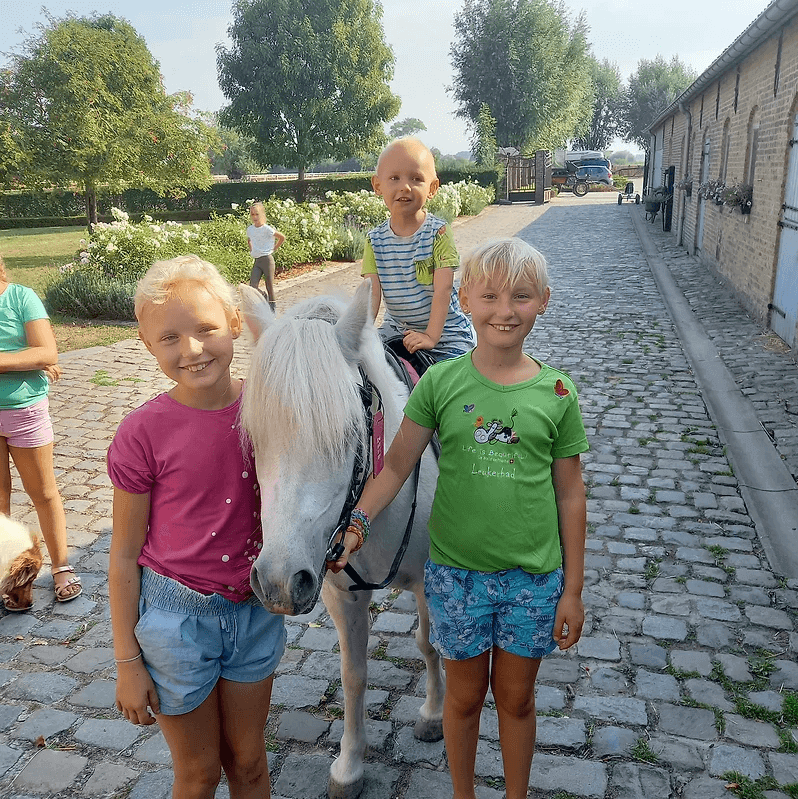 Pony animatie